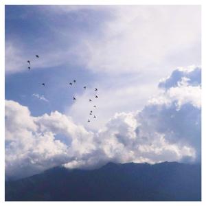 畑山夏树生孩子
